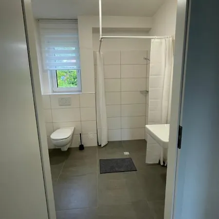 Loewenzahn Spangenberg