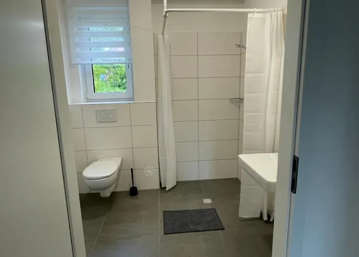 Löwenzahn Spangenberg