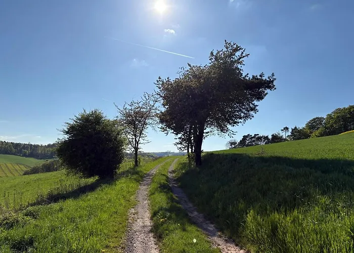 Löwenzahn Apartment