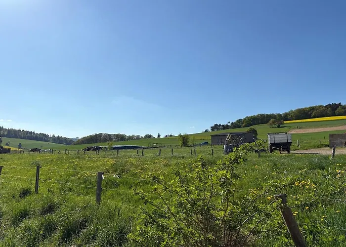 Löwenzahn Apartment Spangenberg