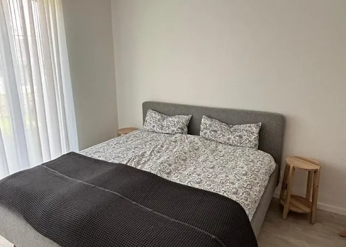 Löwenzahn * Spangenberg