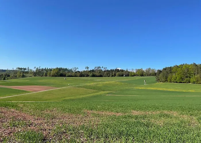 Löwenzahn Spangenberg