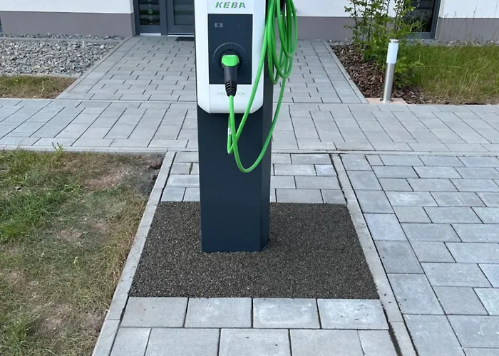 Löwenzahn * Spangenberg